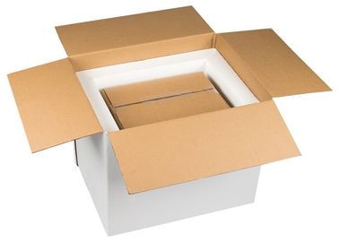 Caixa refrigerando material de empacotamento da corrente fria do PCM da mudança de fase da corrente fria